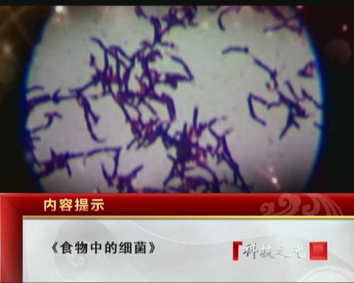 食物中的细菌（二） 