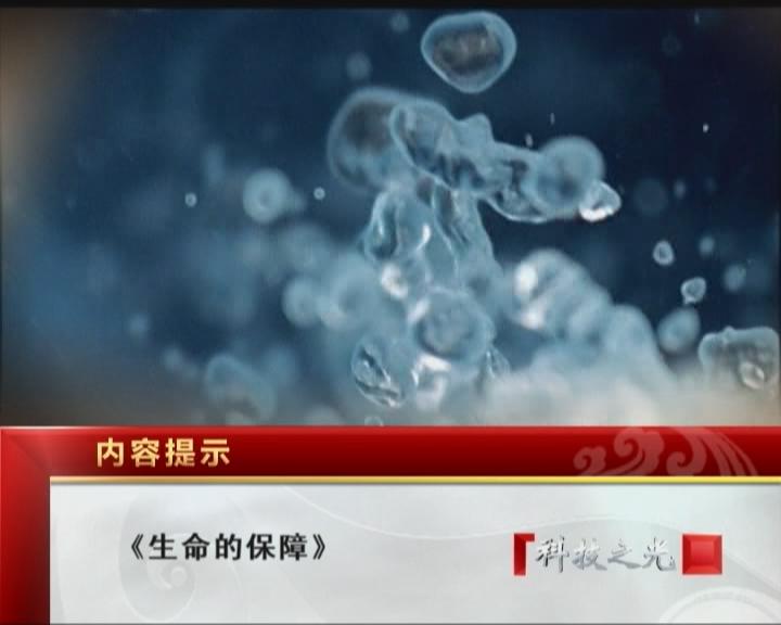 生命的保障（一）